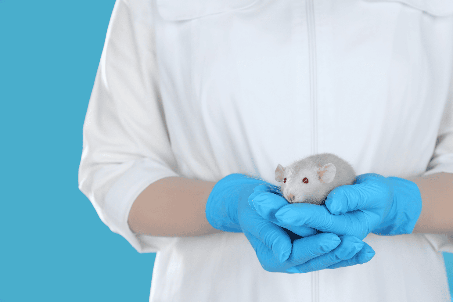 Kennis oor die Hantavirus en Waarom Bewustheid van Jou Omgewing Deel Vorm van Noodhulpgereedheid